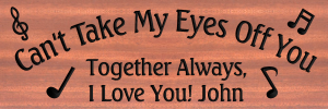 Can t take my eyes off you sign